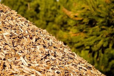 Forniture di Biomasse Legnose